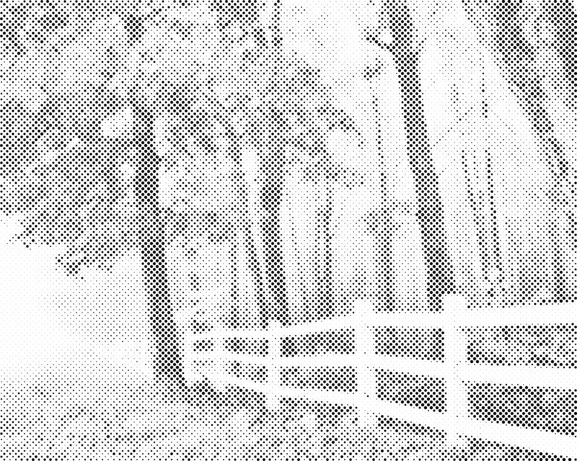 Jesensko jutro - Dottingo