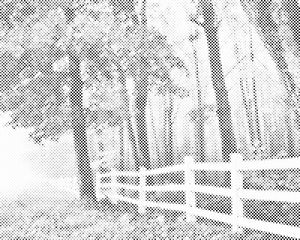 Jesensko jutro - Dottingo