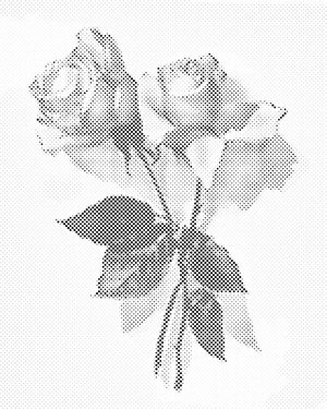 Vintage ruža 2 - Dottingo