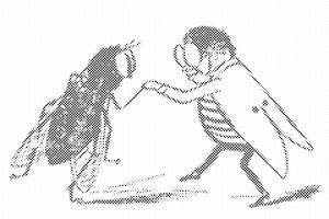 Crnobijeli ples buba - Dottingo