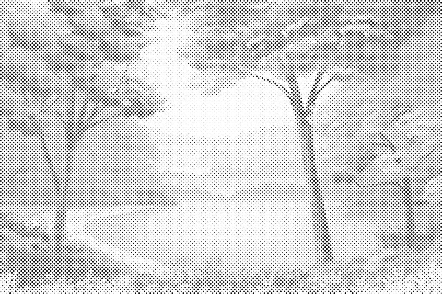 Šarena priroda - Dottingo