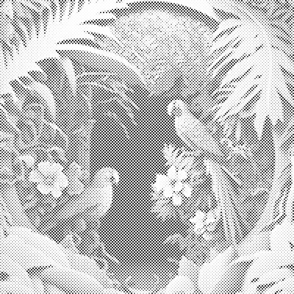 Papige u raju - Dottingo