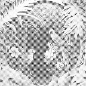 Papige u raju - Dottingo