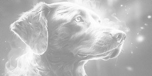 Pas u bojama duge - Dottingo