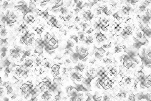 Pozadina narcisa - Dottingo