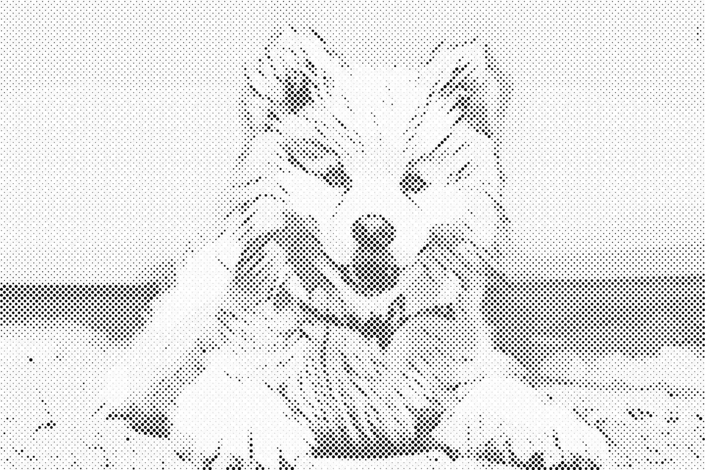 Veseli pas - Dottingo