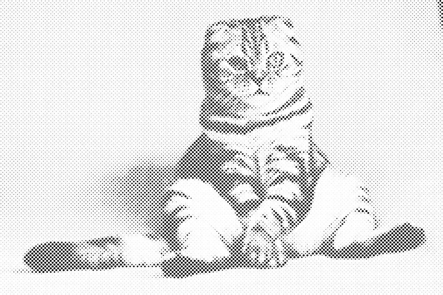 Mačka koja sjedi - Dottingo