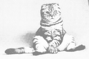 Mačka koja sjedi - Dottingo