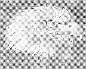 Glava orla - Dottingo