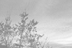 Šareno nebo - Dottingo