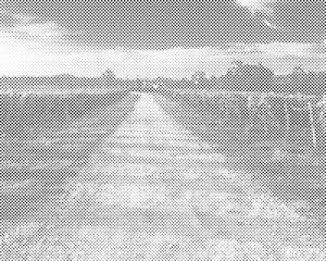 Vinogradi u Toskani - Dottingo