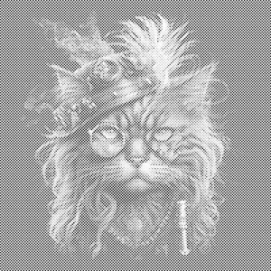 Punk mačka - Dottingo