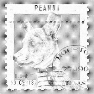 Pečat za pse - Dottingo