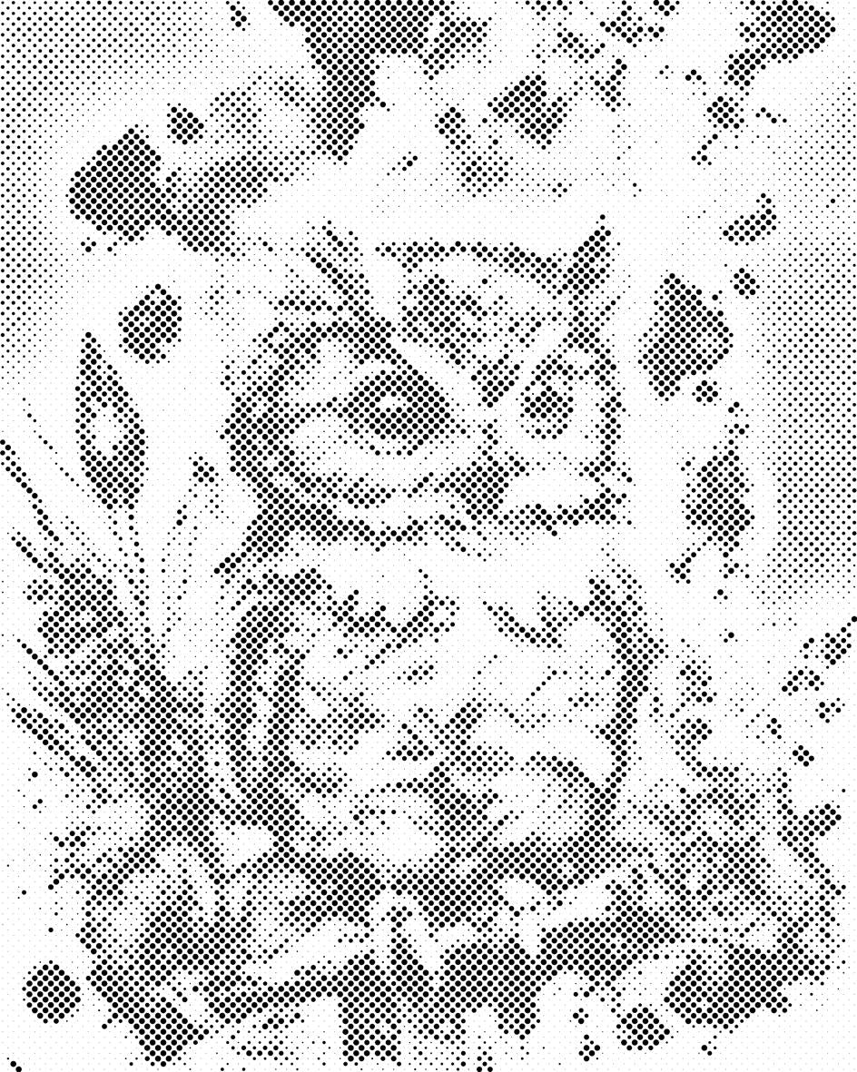 Mala sova - Dottingo