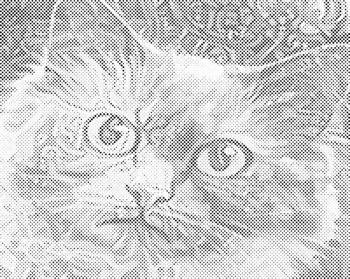 Mačja glava 3 - Dottingo