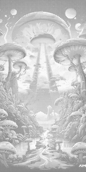 Grad gljiva - Dottingo