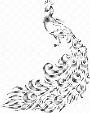 Ponosni paun 2 - Dottingo