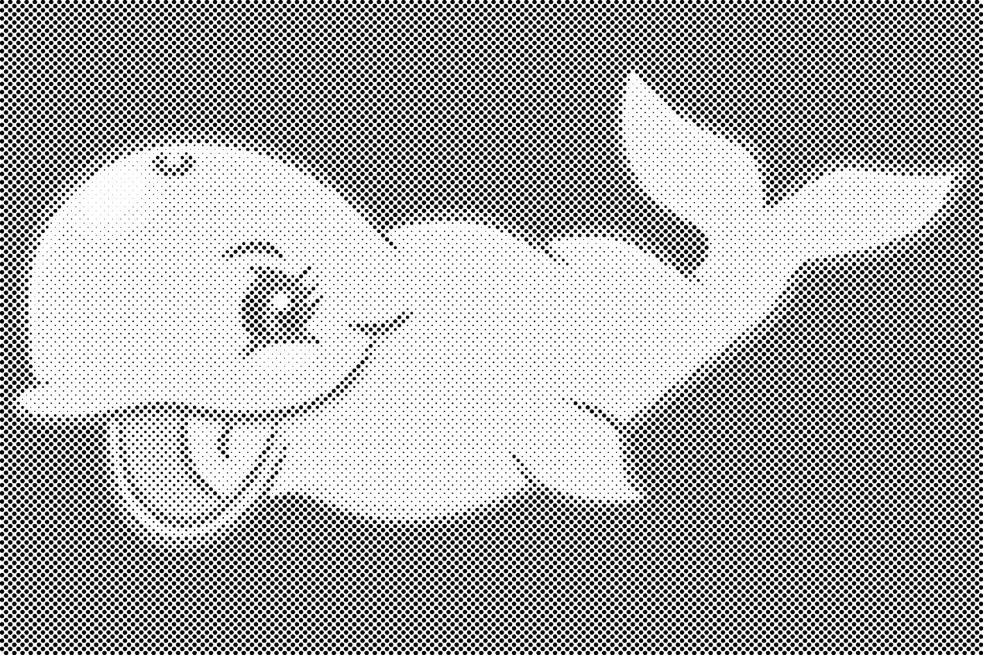 Kit koji se smije - Dottingo