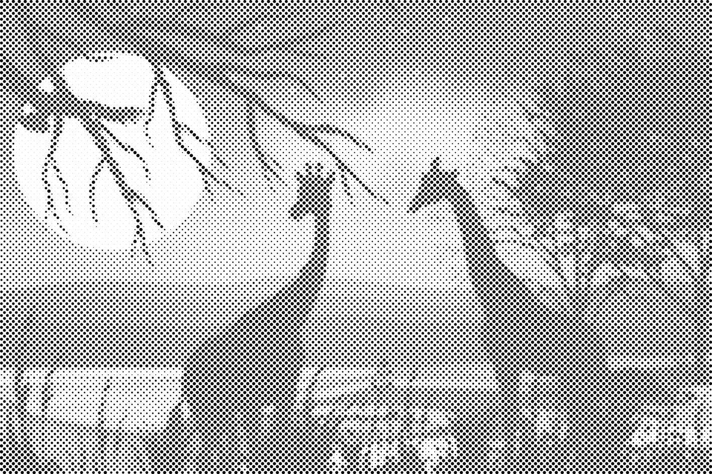 Žirafe u Africi - Dottingo