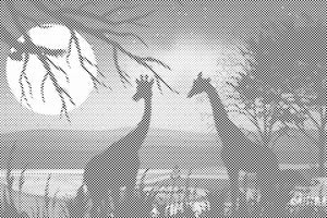 Žirafe u Africi - Dottingo