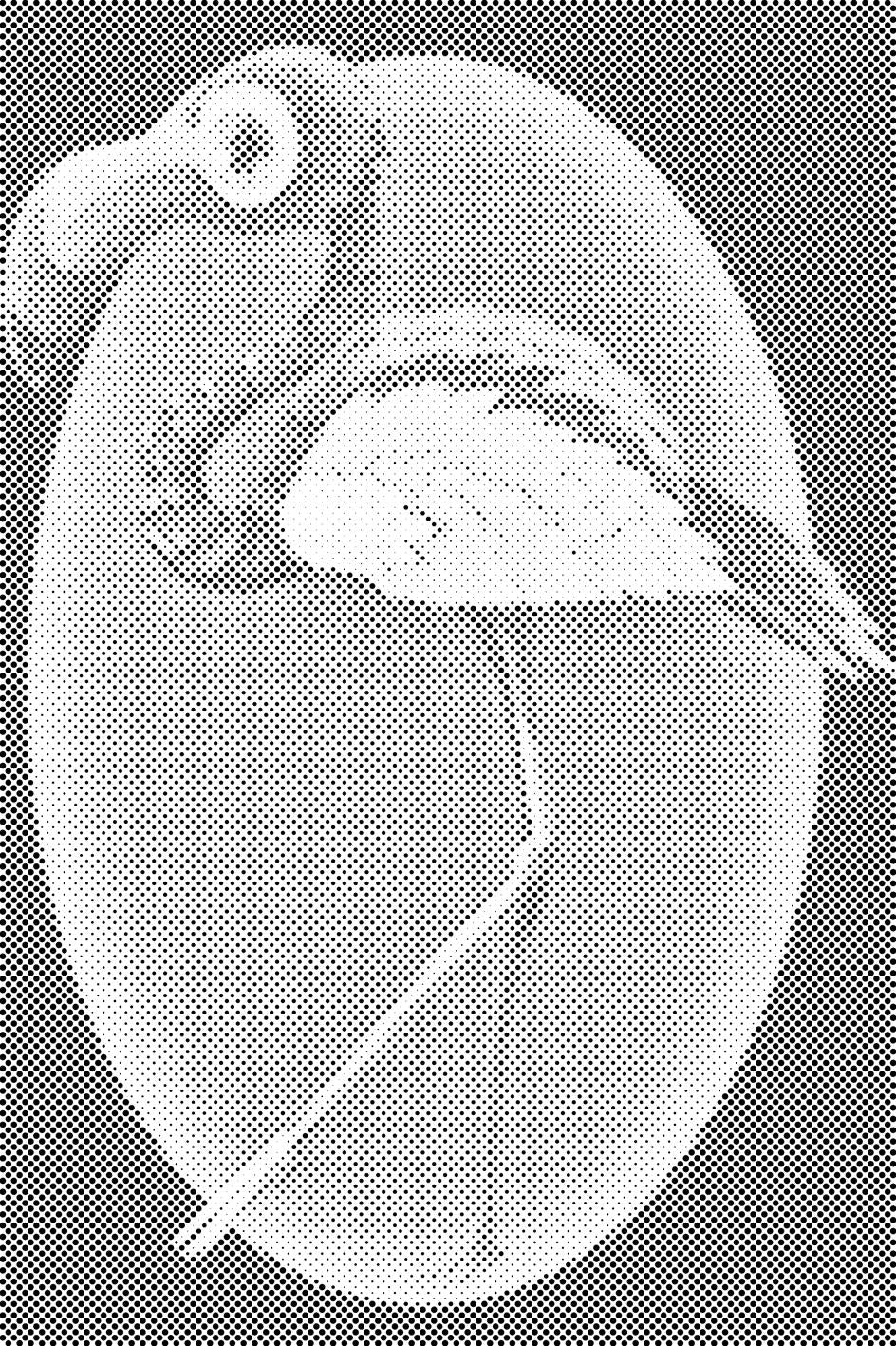 Hodajući Flamingo - Dottingo