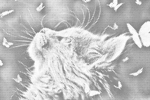 Maca među leptirima - Dottingo