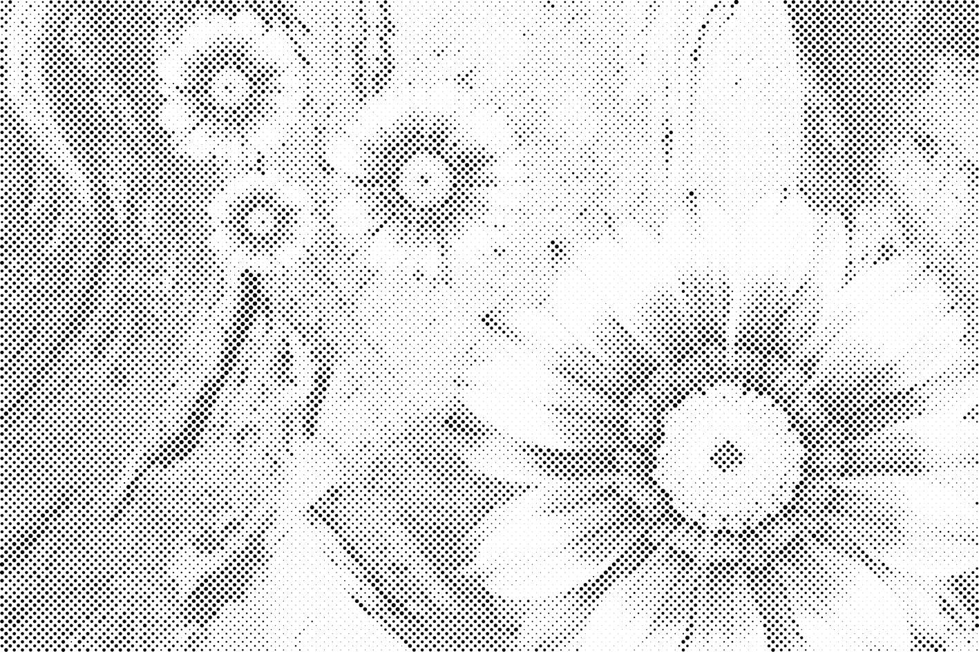 Ljetno cvijeće - Dottingo