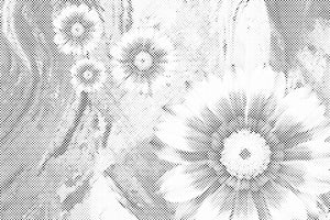 Ljetno cvijeće - Dottingo