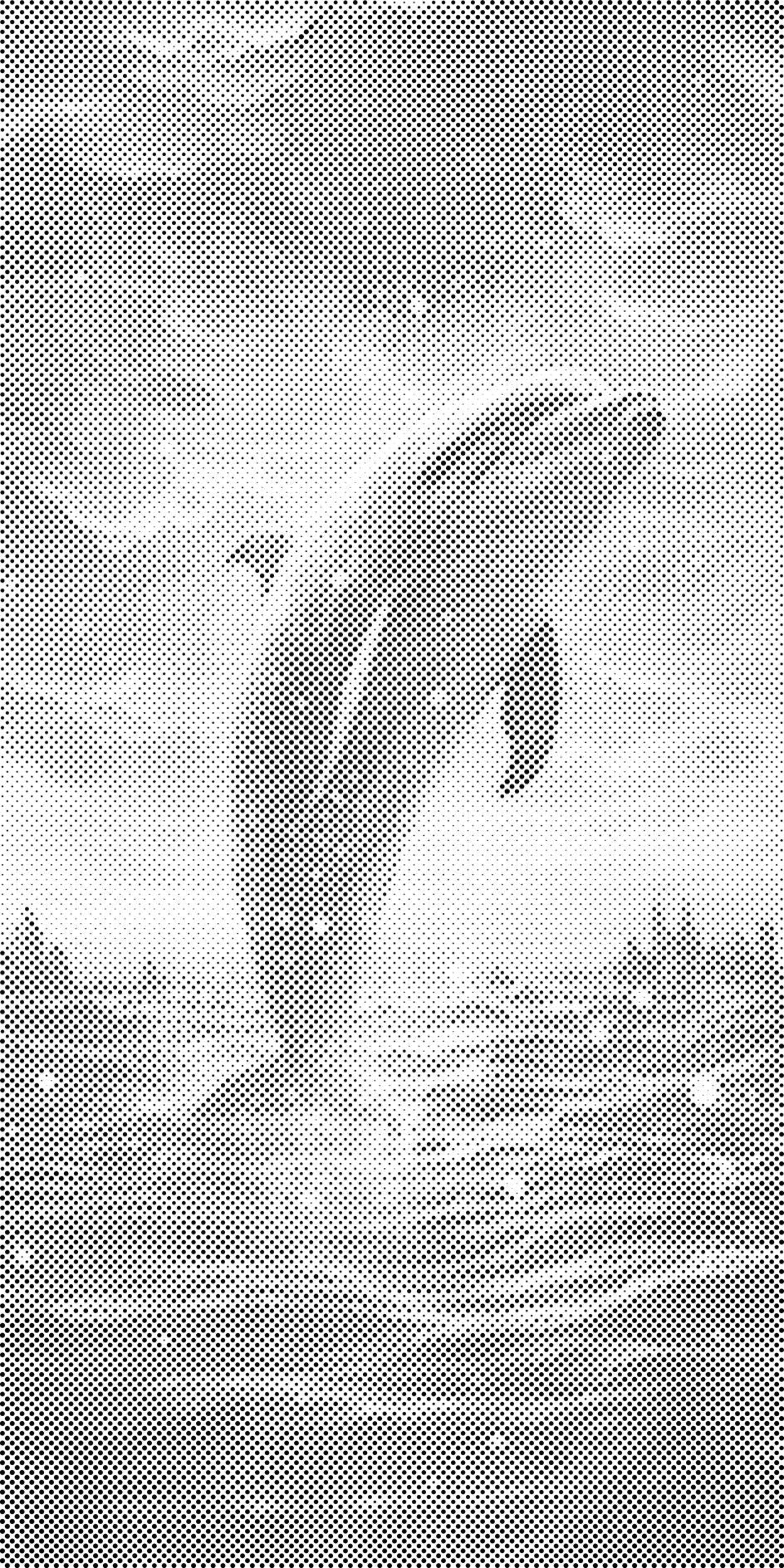 Dupin u zalasku sunca - Dottingo