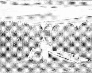 Pusta - Nacionalni park Hortobágy - Dottingo