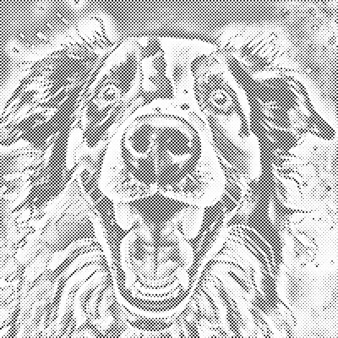 Veseli razigrani psić - Dottingo