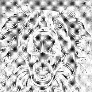 Veseli razigrani psić - Dottingo