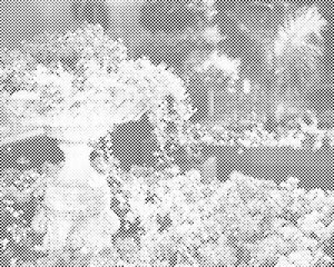 Cvjetna fontana - Dottingo