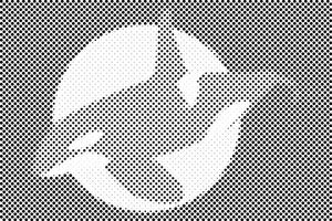 Kit ubojica u dubokom oceanu - Dottingo