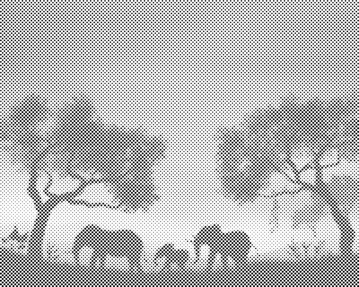 Obitelj slonova - Dottingo