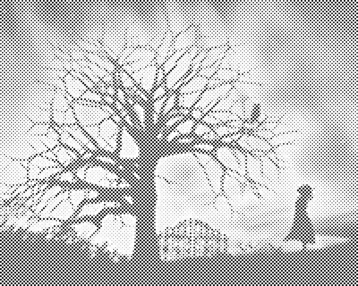 Djevojka pod noćnim nebom - Dottingo