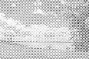 Jezero u prirodi - Dottingo