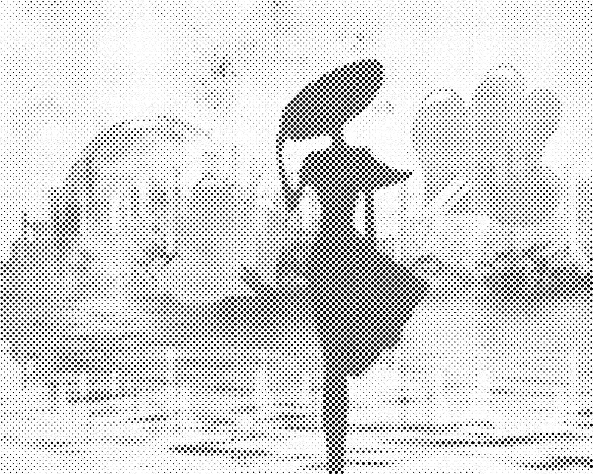 Ženske misli - Dottingo