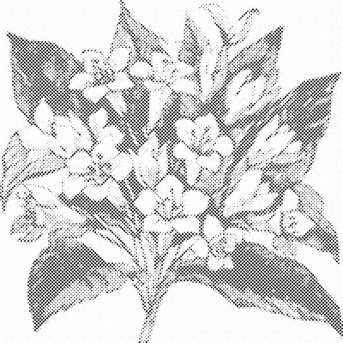 Hrpa cvijeća - Dottingo