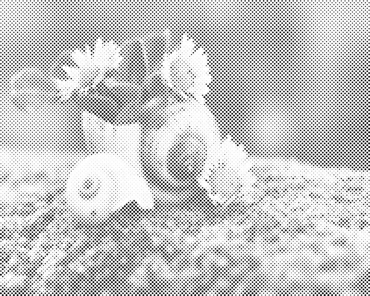 Tratinčice u školjci - Dottingo