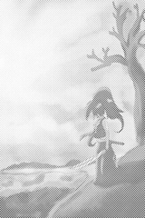 Žena s mačem - Dottingo