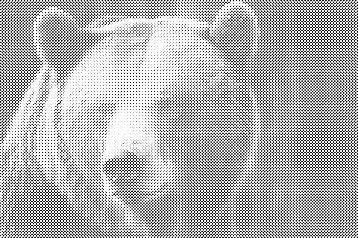 Medvjed grizli - Dottingo