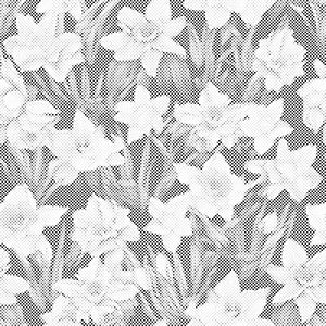 Cvjetna pozadina - narcisi - Dottingo