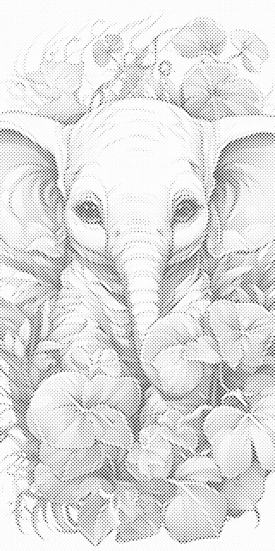 Slonić među biljkama - Dottingo