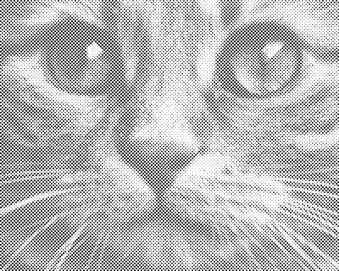 Pogled na mačku - Dottingo