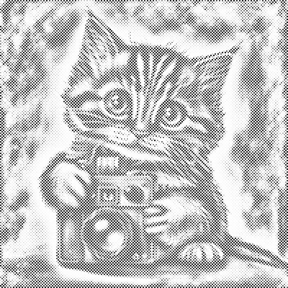 Mačić s kamerom 2 - Dottingo