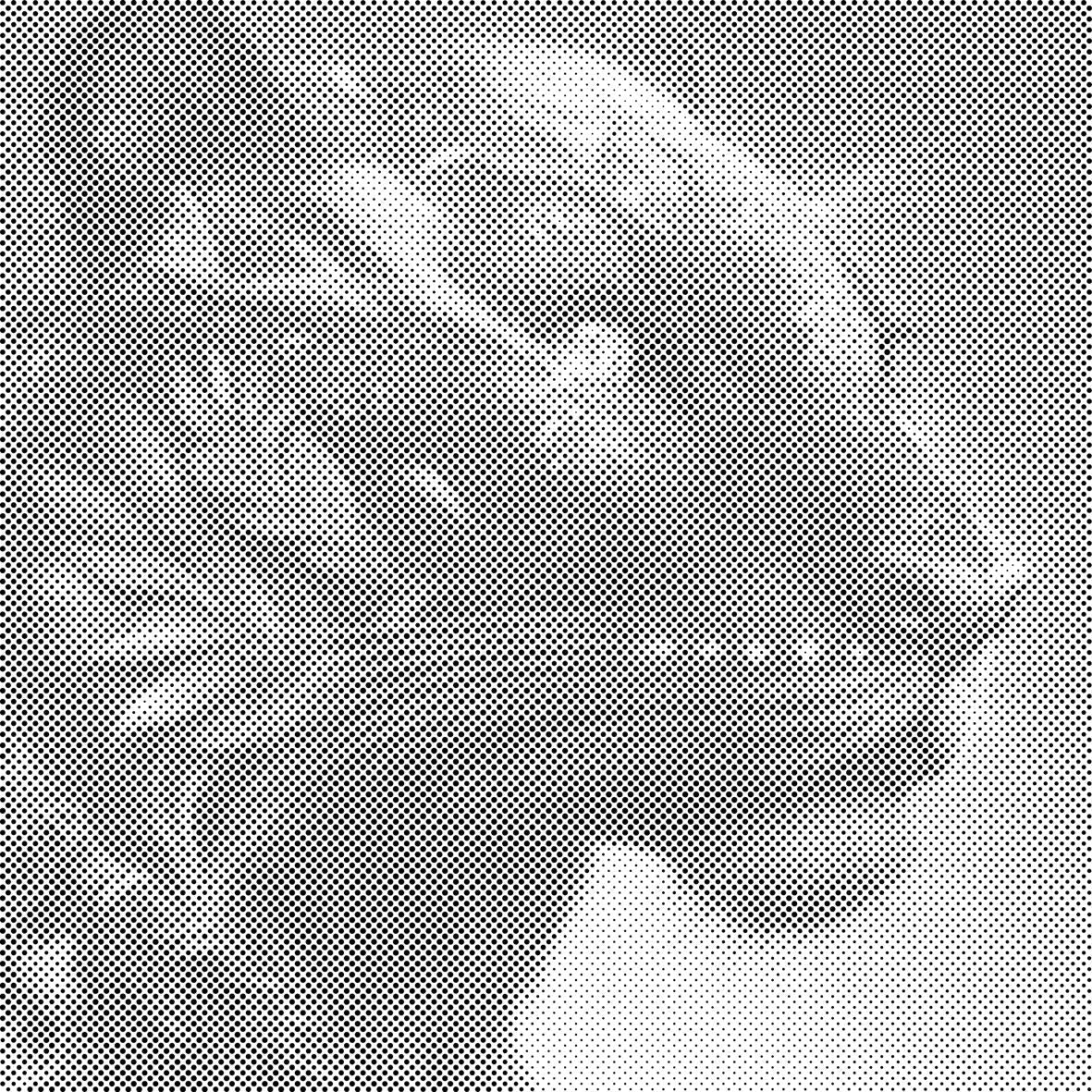 Crna puma - Dottingo