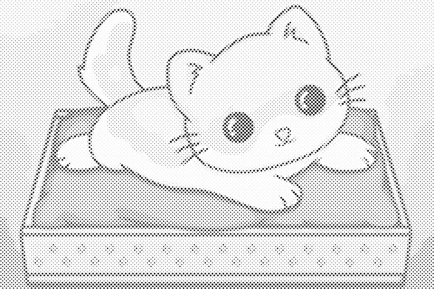 Mačić na ljubičastom pokrivaču - Dottingo