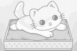 Mačić na ljubičastom pokrivaču - Dottingo